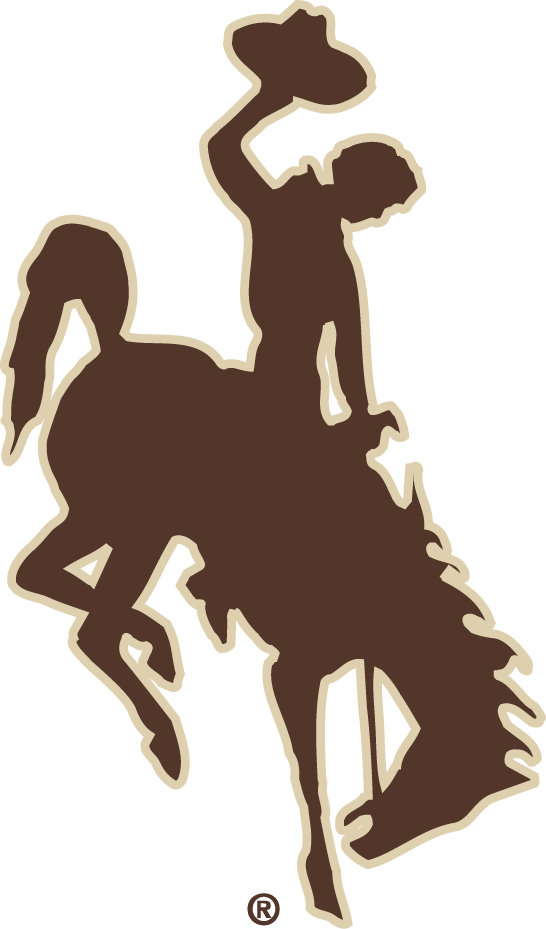 Wyoming Cowboys 2006-2012 Alternate Logo t shirts iron on transfers